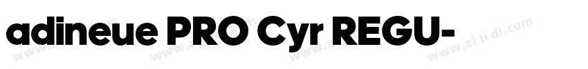 adineue PRO Cyr REGU字体转换 adineue PRO Cyr REGU字体转换